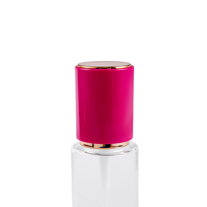 Pompa a spruzzo con elemento pompa a molla incorporato Pompa a spruzzo con elemento pompa a molla incorporato